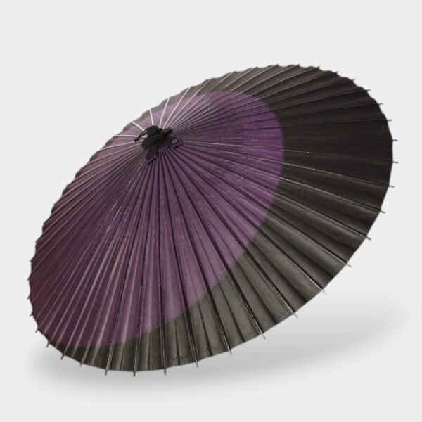 Parapluie - Kyoka Suigetsu 